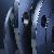 Custom Flanges