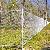 Chain Link Fence