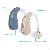 Hearing Aid