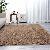 Shaggy Solid Color Pv Plush Carpet