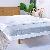 Zc24029 Zipper Box Spring Anti Bed Bug Mattress Encasement Cover