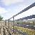 Cattle Rail