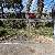 Mesh Farm Gate