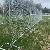 Temporary Chain Link Fence