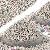 Bentonite Cat Litter