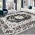 Living Room Rugs