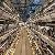 H Type Full Automatic Broiler Quail Cage