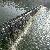 Air Shield Dam Manufacturer Prompt Customer Support
