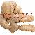 Ginger Extract