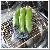 Stainless Steel Wire Bbq Rack For Sale