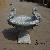 Cast Iron Planter Srhp-1055