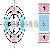 Radially Oriented Ring Magnet