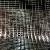 Stainless Steel Welded Wire Mesh Ss302 Ss304 Ss316 Ss316l For Sale