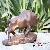 Cast Iron Ox