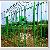 Green Wire Mesh Fencing