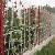 Park Fence