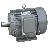 Y Induction Motor