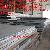 Api 2wgr50t, Api 2wgr60, Bhw35 Steel Plate Offering From Gloria Steel Limited