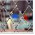 4x4 Inch Poultry Netting , Chicken Wire Netting For Sale