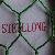 Green Pvc Coated Gal. Hex. Wire Mesh
