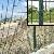 Pvc Welded Wire Fences