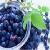Sweetberry Anthocyanin