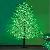 Led Pine Cypress Tree