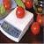 Digital Fruit Scales With Ac / Dc Adapter Capacity 150g / 300g / 500g / 750g / 5kg 100kg
