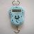 Light Blue Digital Hook Scales Ce And Rohs, 40kg / 20g 88lb