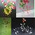 Acrylic Vase