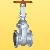 Carbon Steel Flanged Gate Valve
