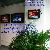 32 Inch Pop Lcd In Store Display, Corporate Promotional Gift / Material / Products / Agency Ce And F