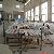 White Marble Tile