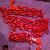 Lashing Chain
