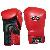 Thaiboxing Gloves