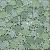 Green Crystal Mosaic
