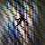 Insect Screening / Wire Netting For Insects