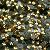 China Aaa Hotfix Rhinestone, Aaa Iron On Rhinestone, China Hotfix Rhinestones