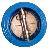 Api Dual Plate Chack Valve