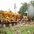 Wet Mix Macadam Plant