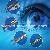 Eye Instruments Sialkot