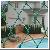 Sell Chain Link Fence