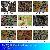 Camouflage Water Transfer Printing Film / Hydro Printing / Cubic Pritning / Hunting / Dipping