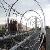 Razor Wire Fencing Uk