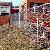 Chain Link Fence, Galvanized Temporary Fence, Ketting Skakel Heining, Gegalvaniseerde Heining