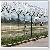 Sekuriteit Skeermes Draad Heinings, Security Wire For Sale