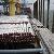 Break-bulk Project Cargoes Bagged Baled Cars Steel Girders Transport Shipping From China