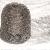 Ss Knitted Wire Mesh , Filter Mesh For Sale