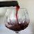 Wine Business Opportunities With Israel's Leading Wineries