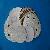 Abrasive Paper Disc With Psa Or Velcro